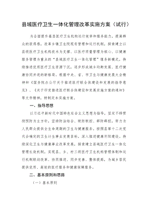 县域医疗卫生一体化管理改革实施方案（试行）.docx