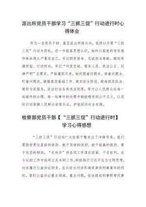 派出所党员干部学习“三抓三促”行动进行时心得体会三篇.docx