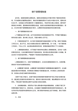 镇干部管理制度.docx