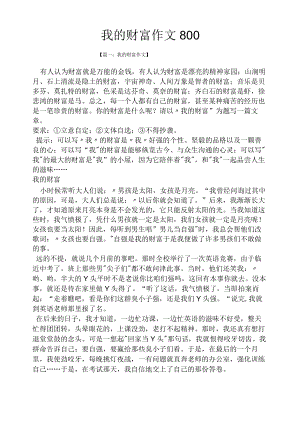 作文范文之我的财富作文800.docx