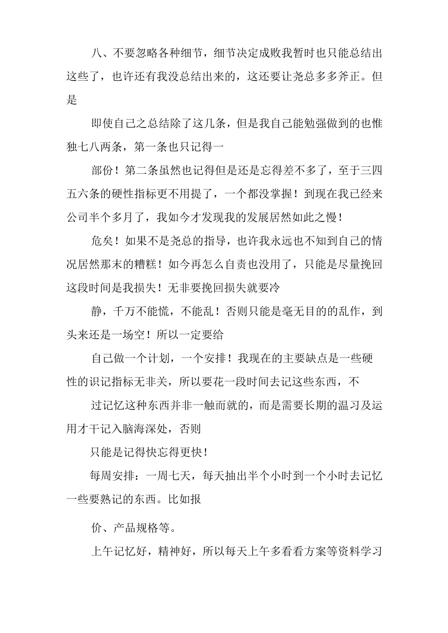 业务员工作计划表格.docx_第2页