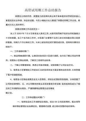 高管试用期工作总结报告.docx