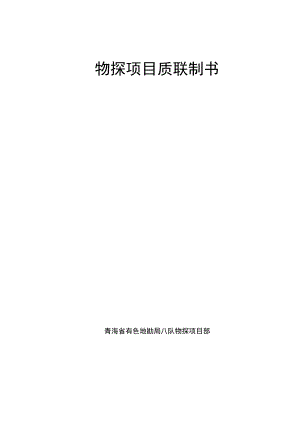 物探项目质量控制书新.docx