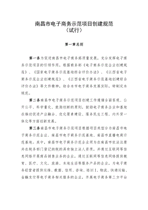 南昌市电子商务示范项目创建规范.docx