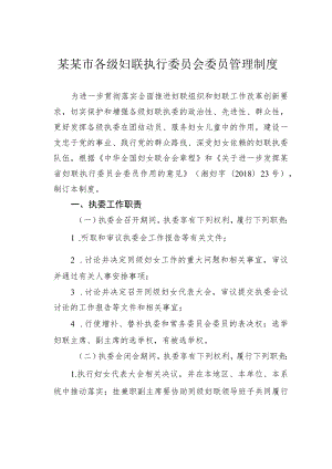 某某市各级妇联执行委员会委员管理制度.docx