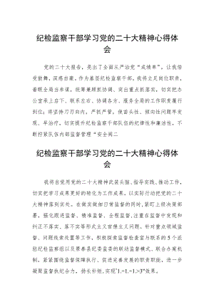 (3篇)纪检监察干部学习党的二十大精神心得体会范文.docx