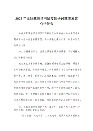 审计局开展2023年主题教育读书研讨发言材料.docx