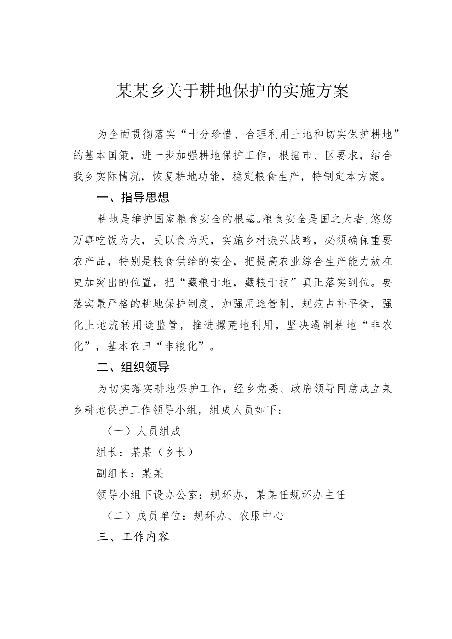 某某乡关于耕地保护的实施方案.docx_第1页