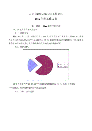 【综合类】知名企业人力资源规划及总结（范本）.docx