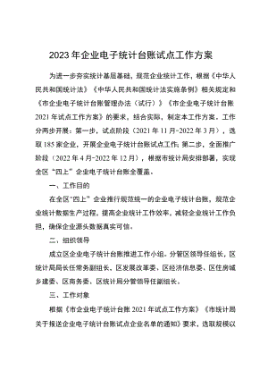 2023年企业电子统计台账试点工作方案.docx