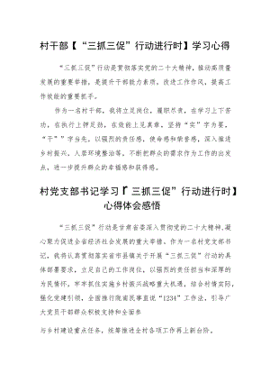 村干部【“三抓三促”行动进行时】学习心得精选范文(三篇).docx