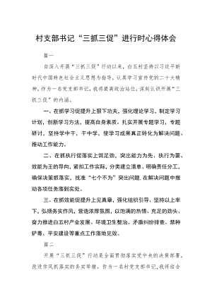 村支部书记“三抓三促”进行时心得体会三篇.docx