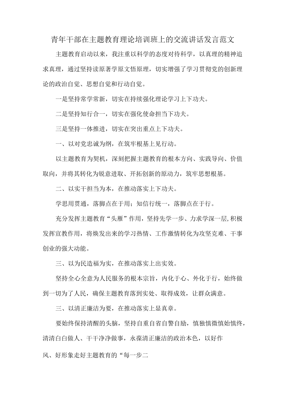 青年干部在主题教育理论培训班上的交流讲话发言范文.docx_第1页