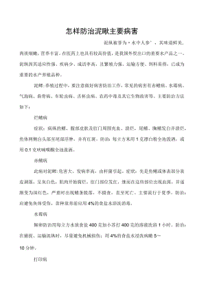 怎样防治泥鳅主要病害.docx