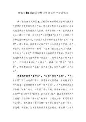 岚皋县80后副县长杨乐事迹及学习心得体会.docx