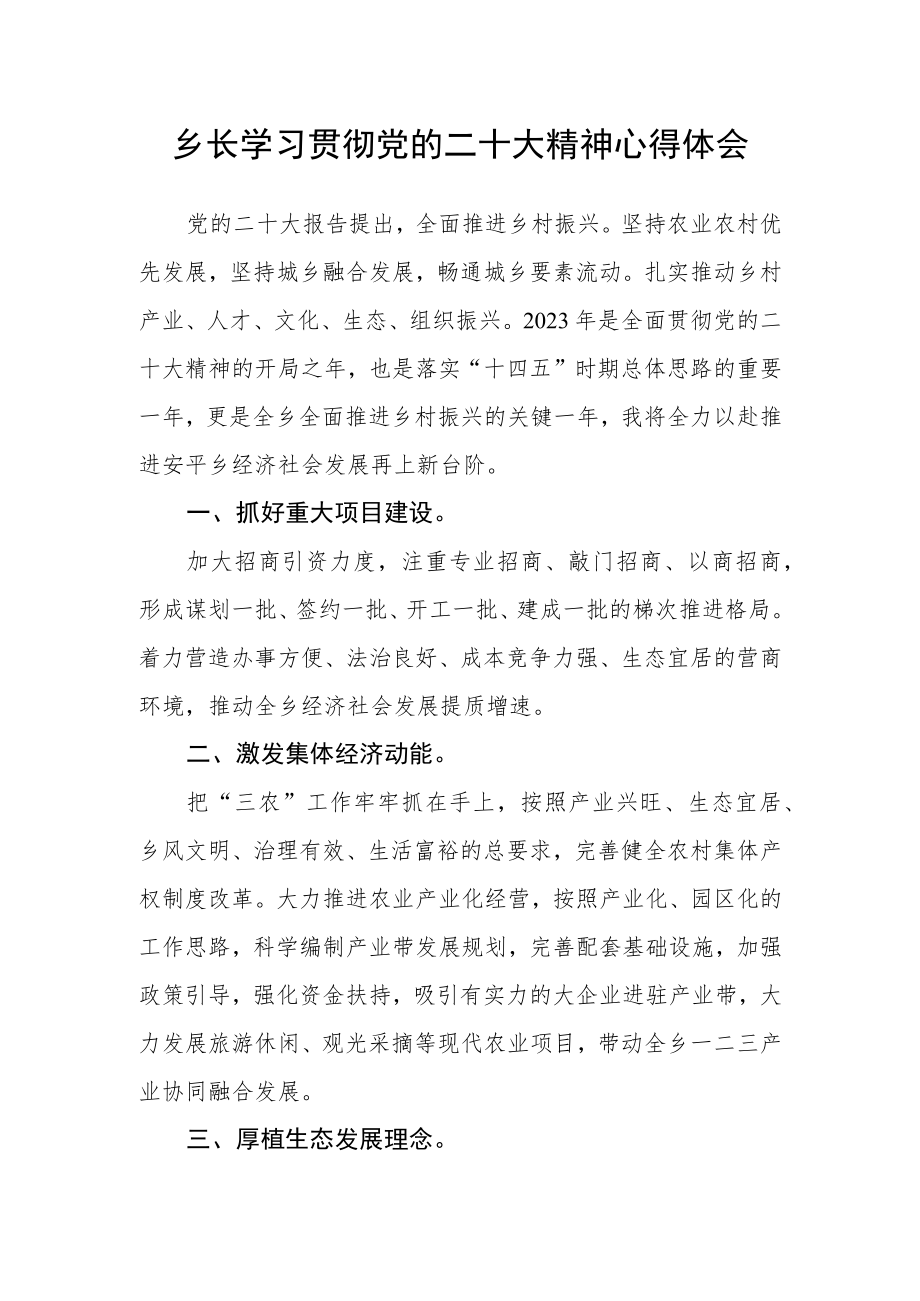 乡长学习贯彻党的二十大精神心得体会.docx_第1页