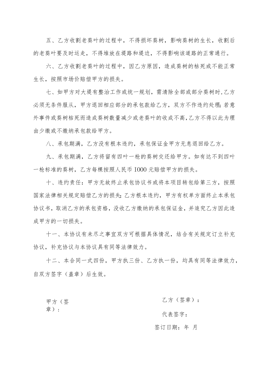 大堤老葵叶承包协议书.docx_第2页