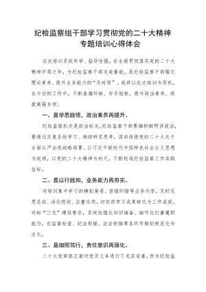 纪检监察组干部学习贯彻党的二十大精神专题培训心得体会.docx