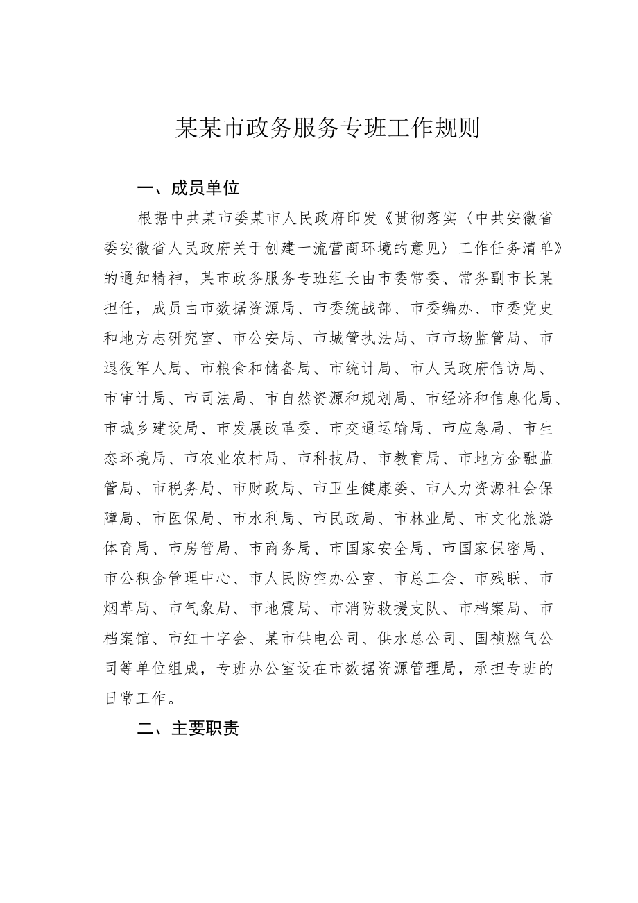 某某市政务服务专班工作规则.docx_第1页