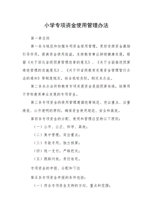 小学专项资金使用管理办法.docx