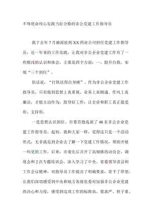 不辱使命用心实践当好合格的非公党建工作指导员.docx