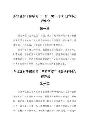 乡镇驻村干部学习“三抓三促”行动进行时心得体会五篇.docx