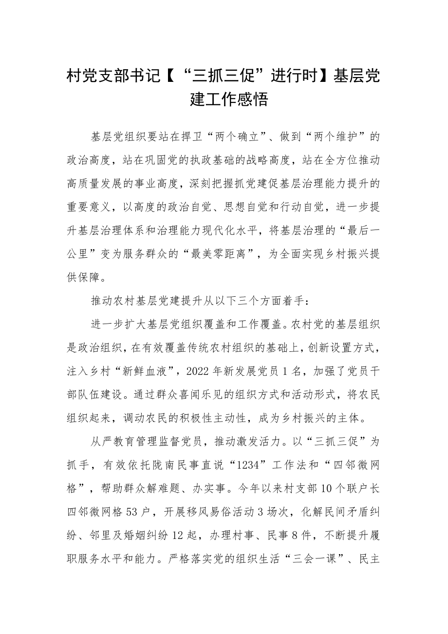 村党支部书记【“三抓三促”进行时】基层党建工作感悟.docx_第1页