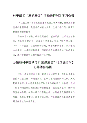 村干部【“三抓三促”行动进行时】学习心得范文三篇.docx