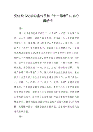 党组织书记学习宣传贯彻“十个思考”内容心得感悟四篇.docx