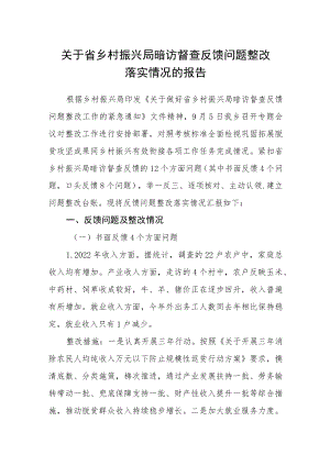 关于省乡村振兴局暗访督查反馈问题整改落实情况的报告.docx