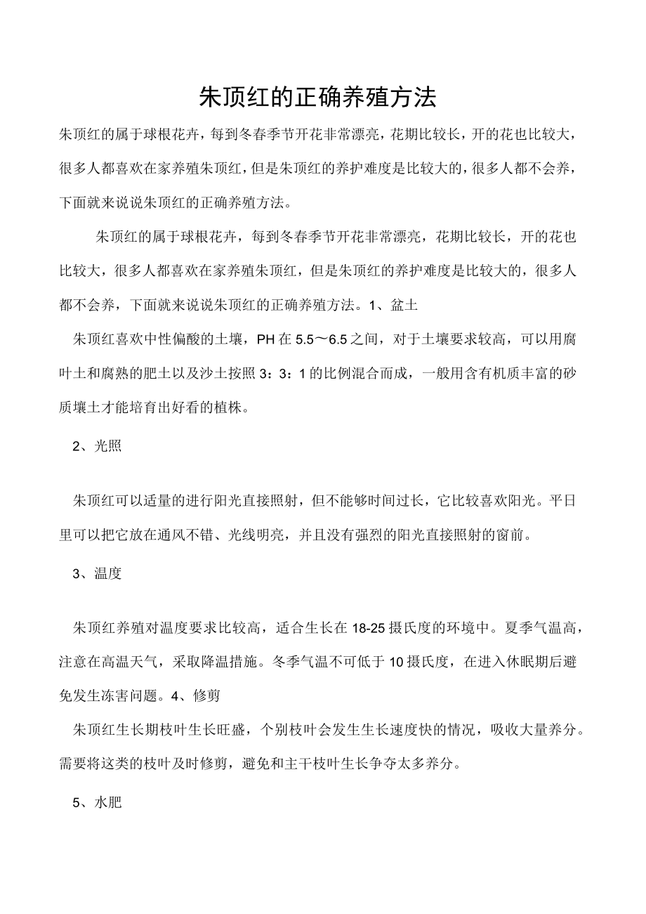 朱顶红的正确养殖方法.docx_第1页