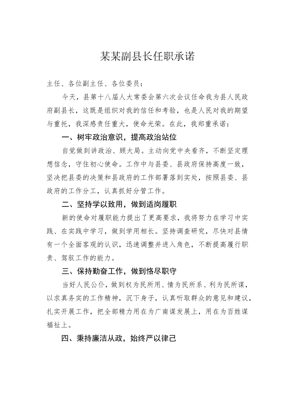 某某副县长任职承诺.docx_第1页