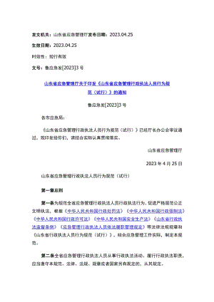 山东省应急管理厅关于印发《山东省应急管理行政执法人员行为规范（试行）》的通知.docx