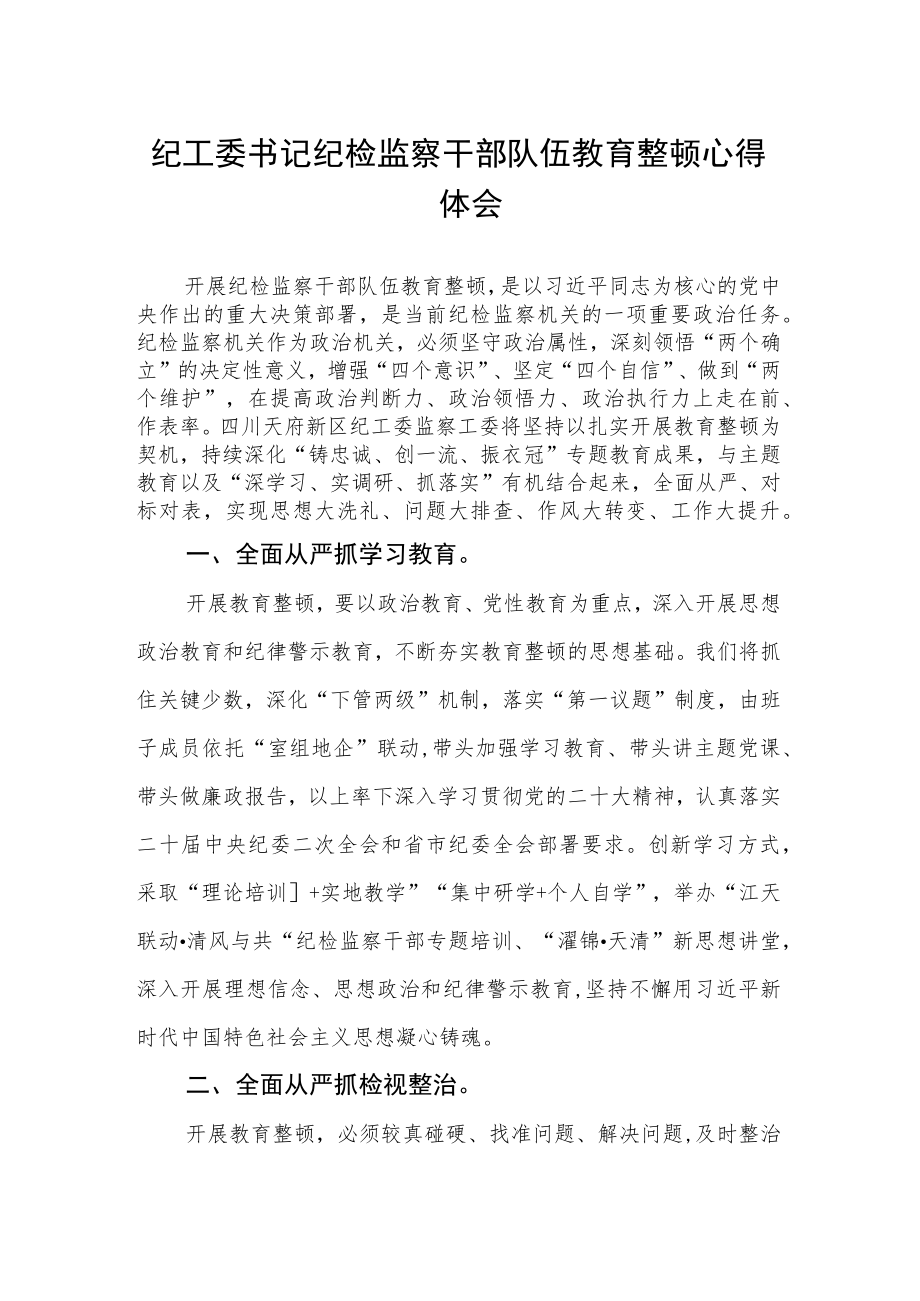 纪工委书记纪检监察干部队伍教育整顿心得体会.docx_第1页