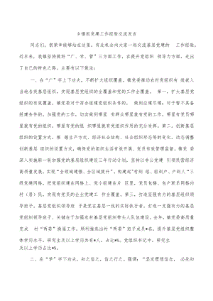 乡镇抓党建工作经验交流发言.docx