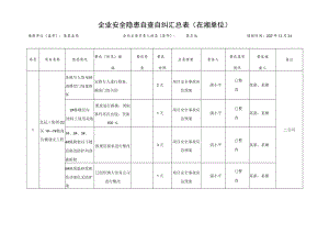 企业安全隐患自查自纠汇总表模板.docx