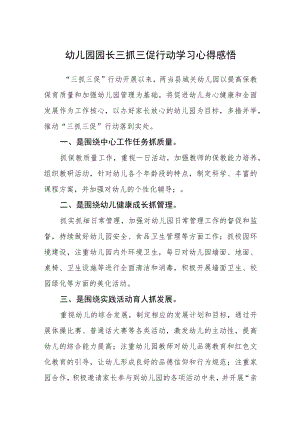 （共三篇）幼儿园园长三抓三促行动学习心得感悟.docx