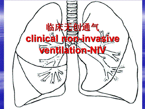 无创呼吸机使用.ppt
