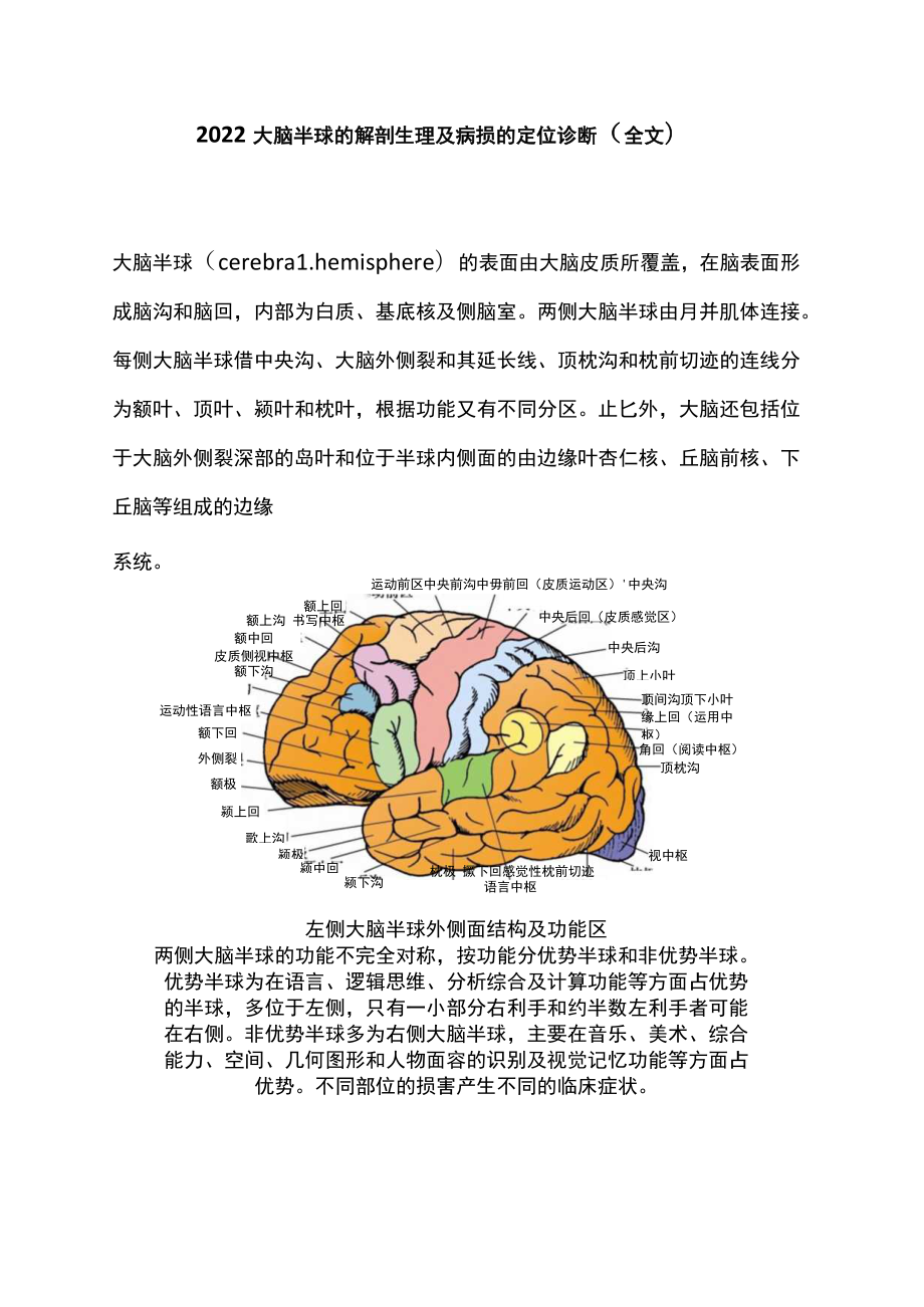 2022大脑半球的解剖生理及病损的定位诊断（全文）.docx_第1页