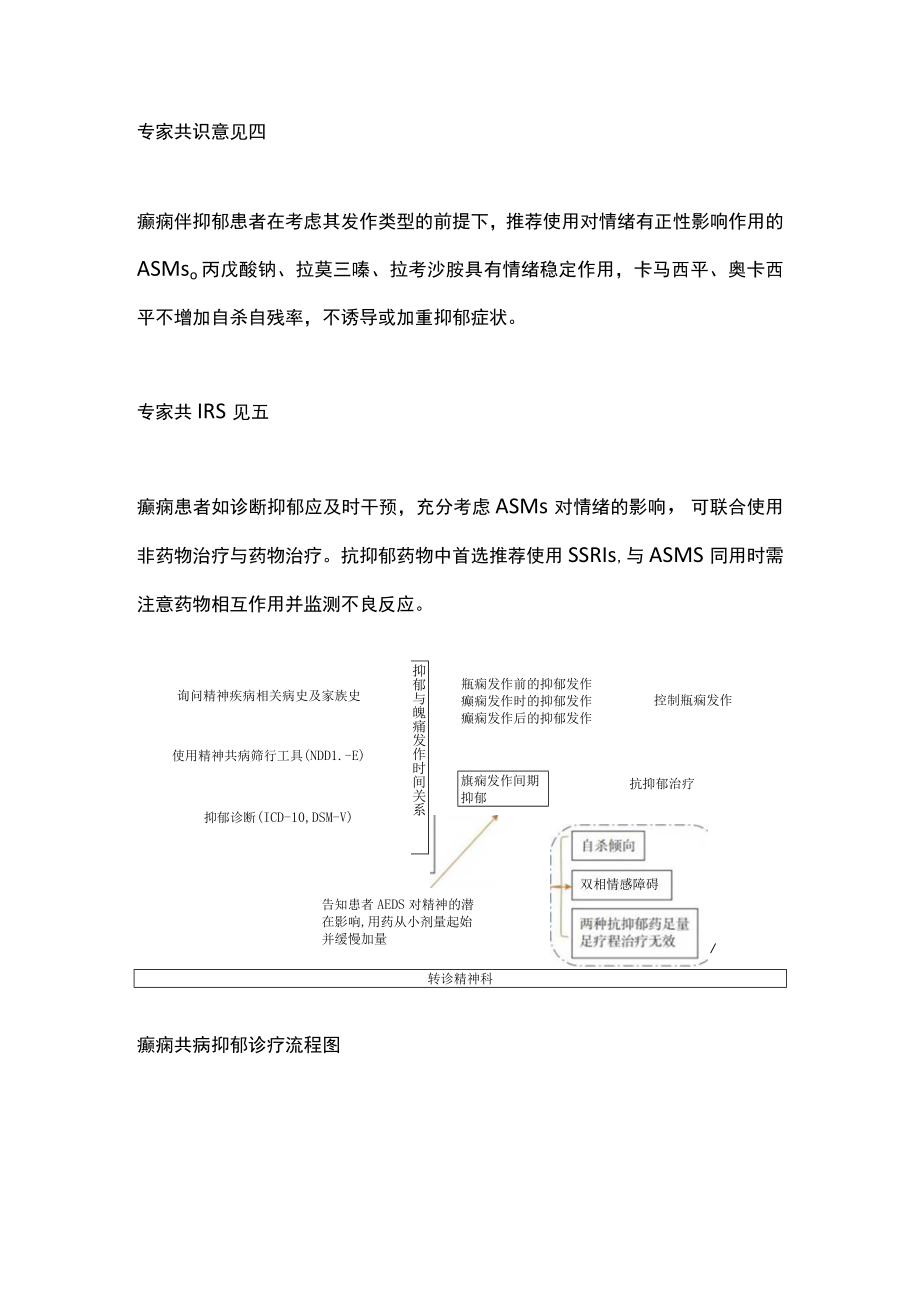 2022癫痫伴抑郁诊治中国专家共识（全文）.docx_第2页