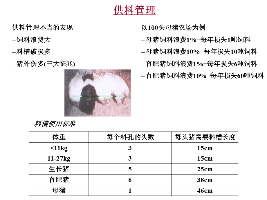 猪饲养管理手册.ppt_第3页