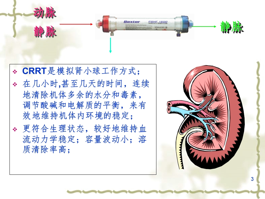 CRRT使用方法和治疗指南.ppt_第3页