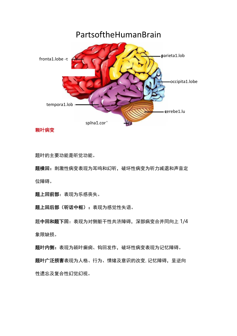 2022脑梗死的定位诊断（全文）.docx_第3页