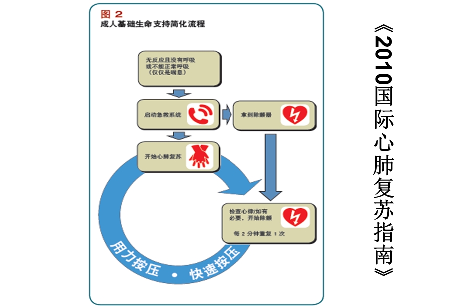 AED使用指南PPT课件.ppt_第3页