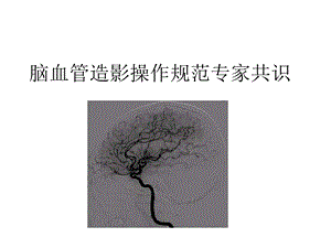 脑血管造影指南解读.ppt