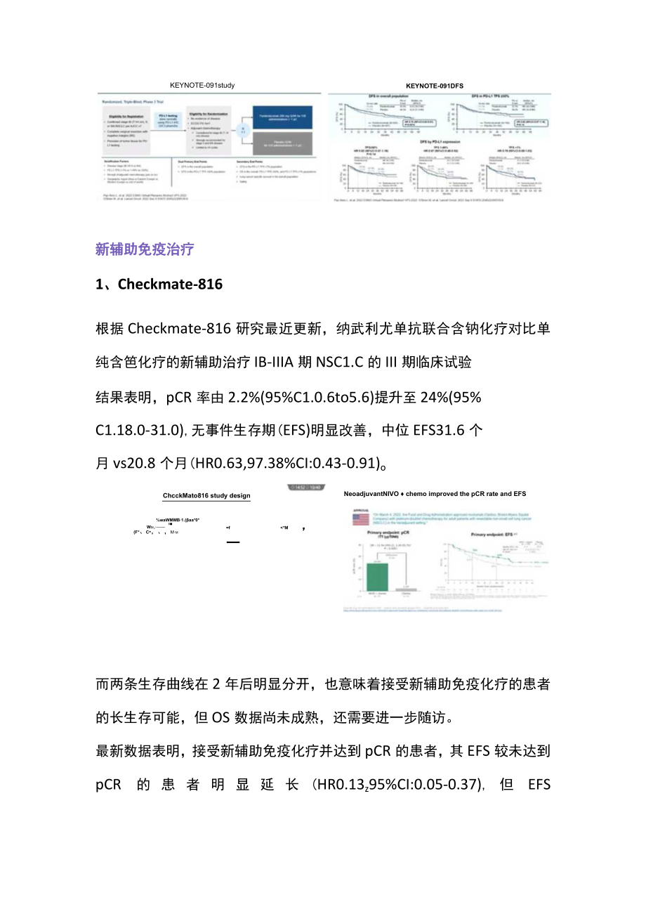 2022非小细胞肺癌的免疫治疗（全文）.docx_第3页