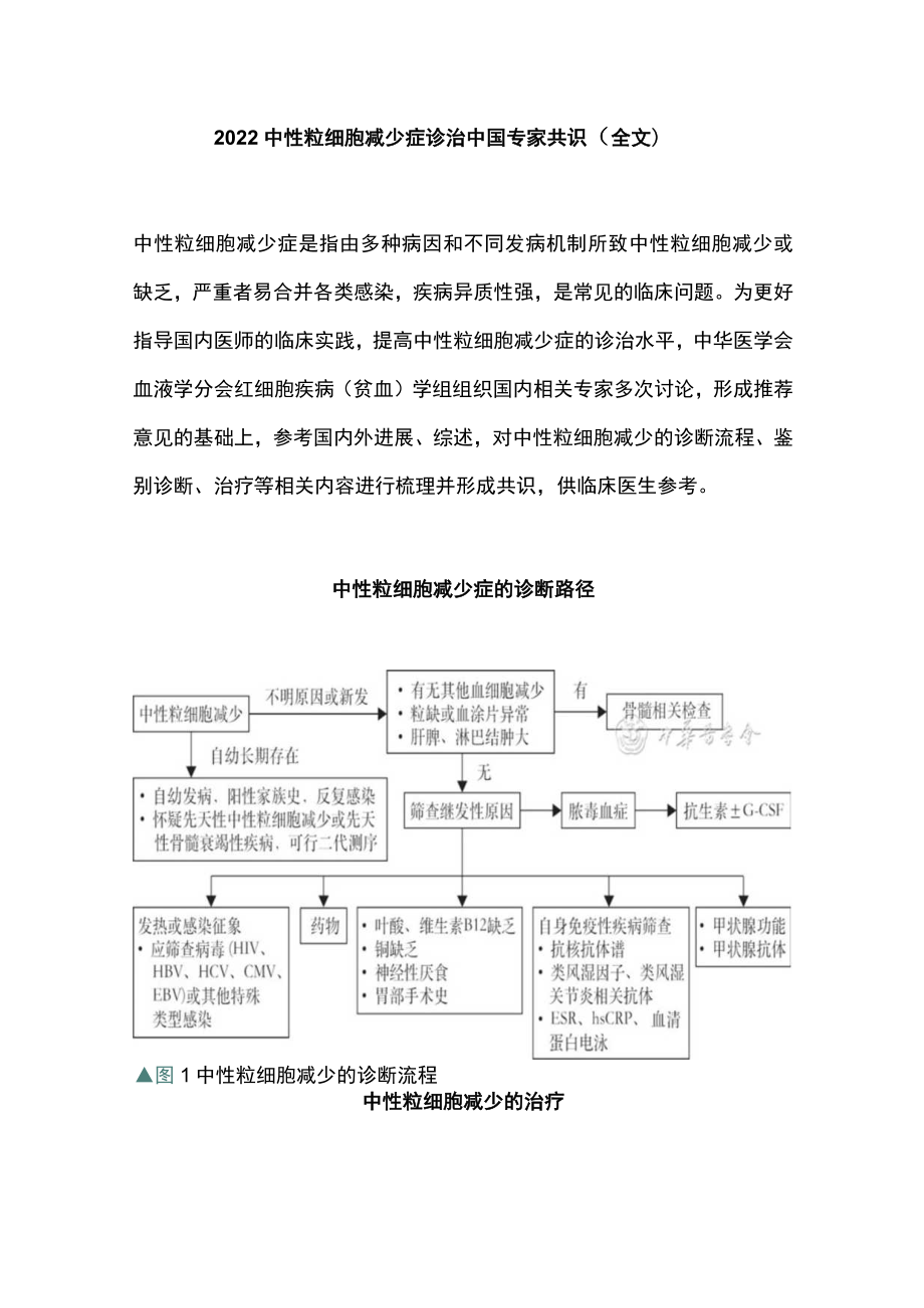 2022中性粒细胞减少症诊治中国专家共识（全文）.docx_第1页