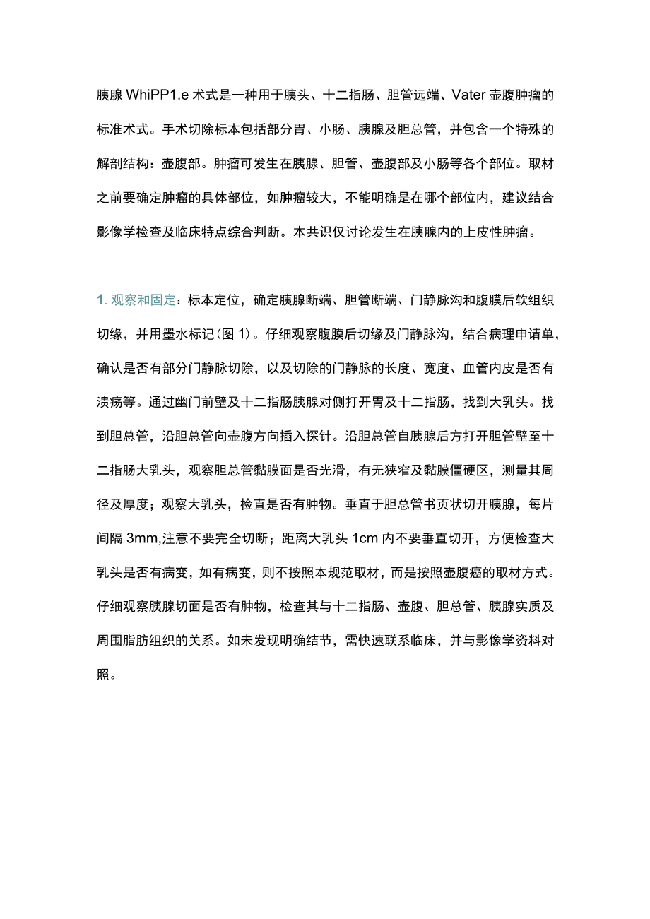 2023胰腺上皮性肿瘤规范化标本取材及病理诊断共识(全文).docx_第3页