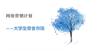 网络营销ppt.pptx