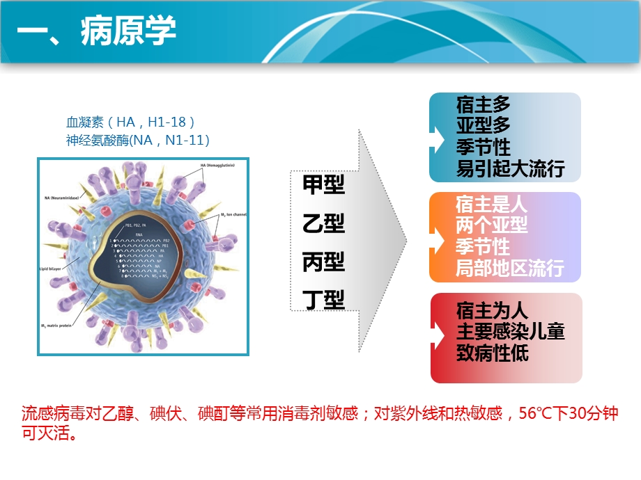 流感指南.pptx_第3页